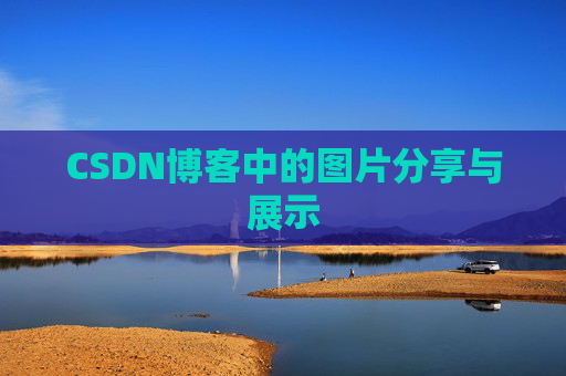 CSDN博客中的图片分享与展示